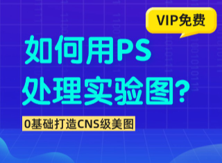 如何用PS处理医学实验图片