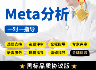 【协议一区版】经典/网状/高阶Meta分析全程指导