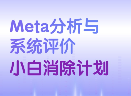 Meta分析/系统评价小白消除计划