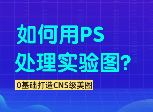 如何用PS处理医学实验图片