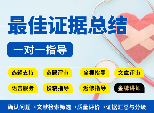 【标准版】最佳证据总结一对一指导