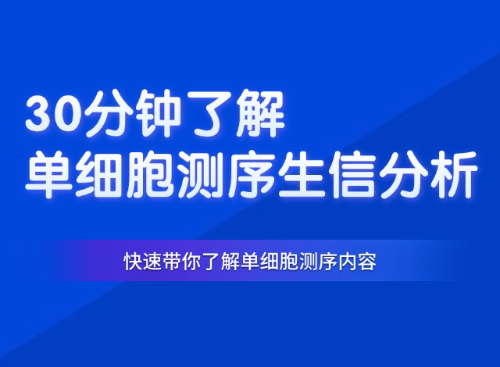 30分钟了解单细胞测序生信分析