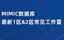 MIMIC数据库最新1区&2区常见工作量