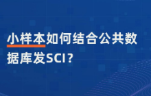 小样本如何结合公共数据库发SCI？