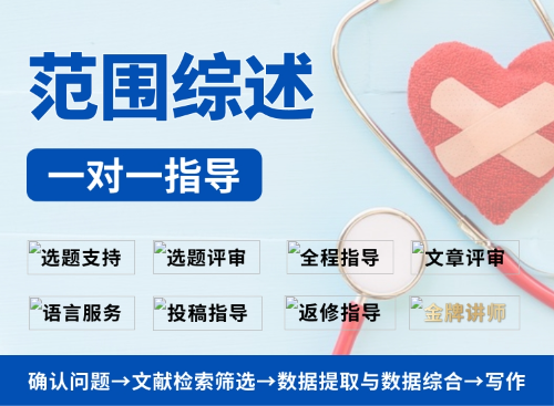 【标准版】范围综述一对一指导