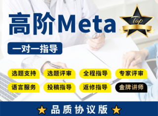 【协议三区版】高阶Meta分析全程指导